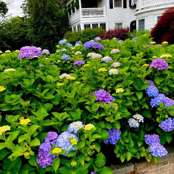 Meet your Posher, Meg brennan - Picture 9 of 12